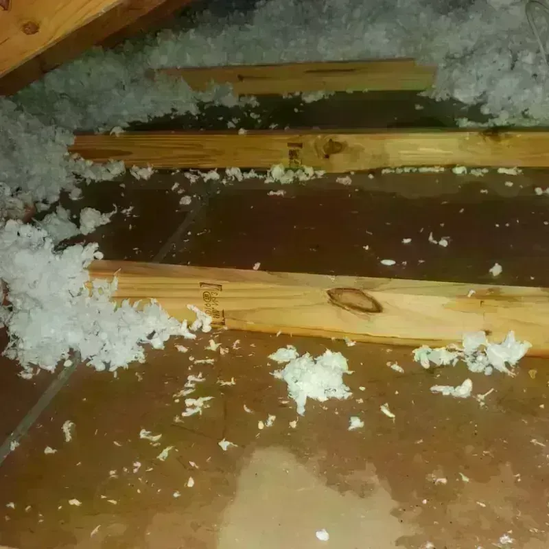 Attic Water Damage in Dade County, MO