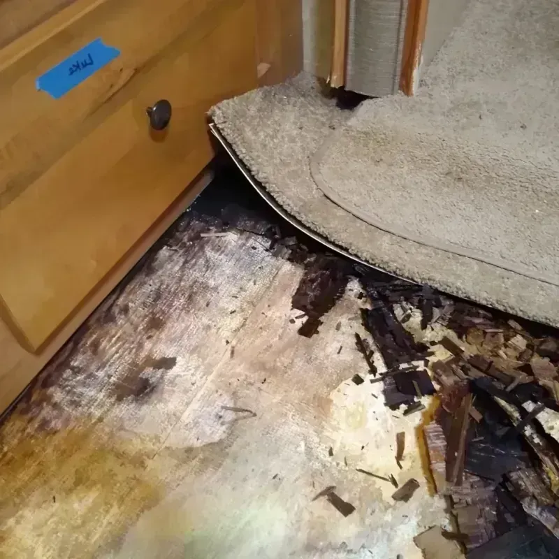 Wood Floor Water Damage in Dade County, MO